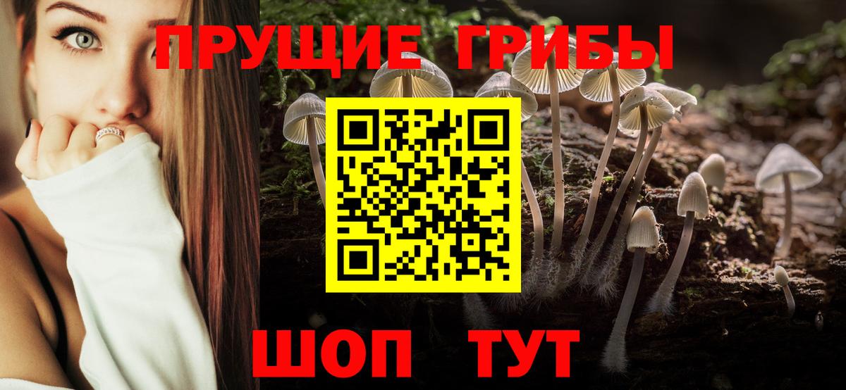 Псилоцибиновые грибы ЛСД Лыткарино