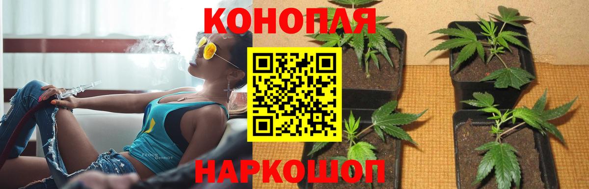 Шишки марихуана индика  Вход с VPN  Конопля OG Kush  Каннабис SATIVA & INDICA  Лыткарино 